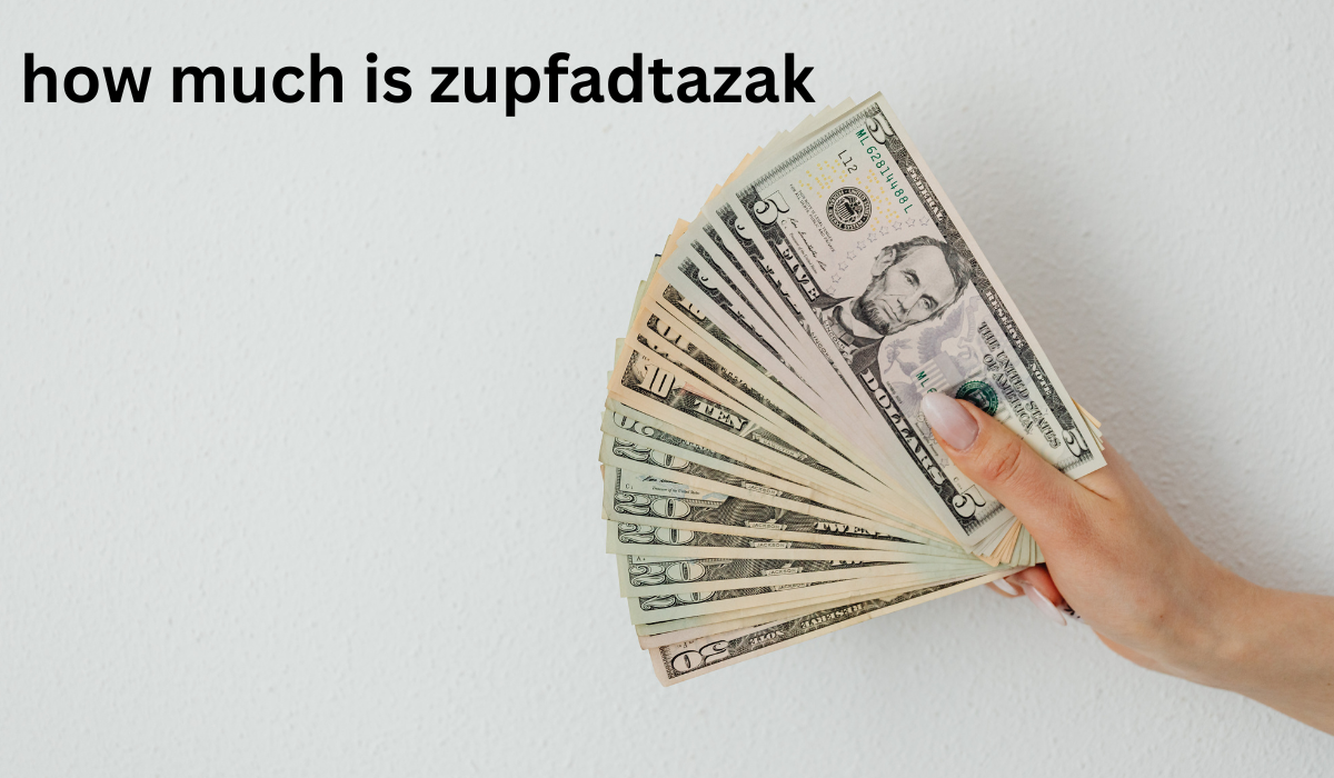 how much it cost zupfadtazak