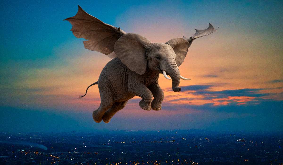 the flying elephant memoirs of an olympic champion kindle edition